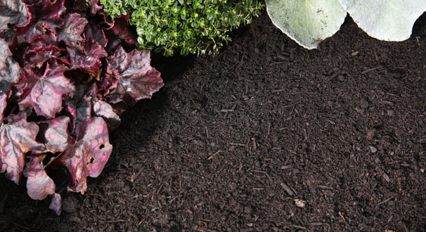 Top Soil Products