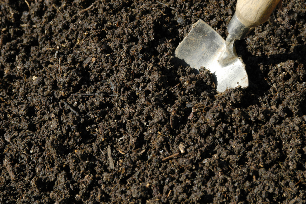 Organic compost in london