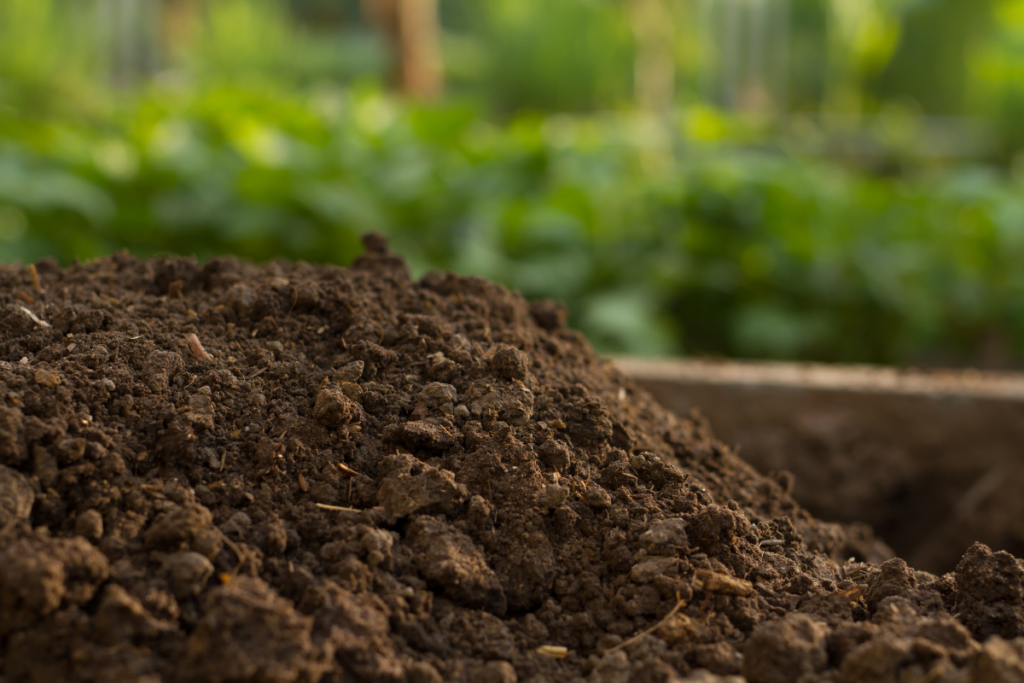 Organic compost in london